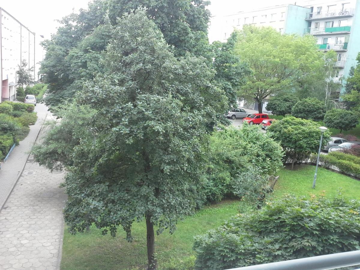 3030 Jana Spychalskiego 32 - Tanie Pokoje W Apartamencie - Samodzielne Zameldowanie - Self Check In Poznan Exterior foto